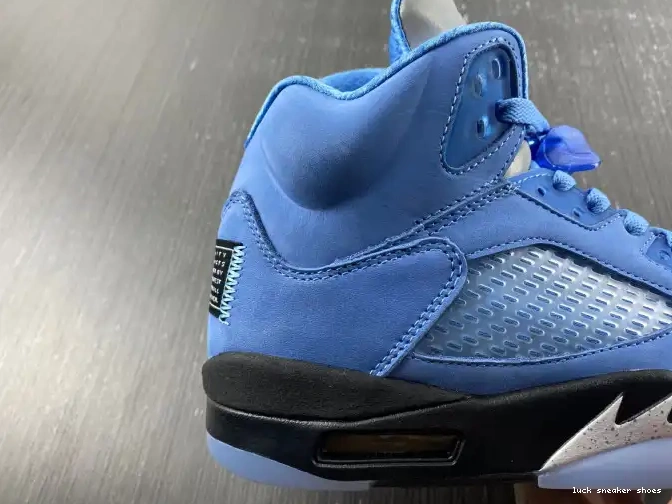 Rep LUCY 5 Jordan UNC DV1310-401 Air 0508